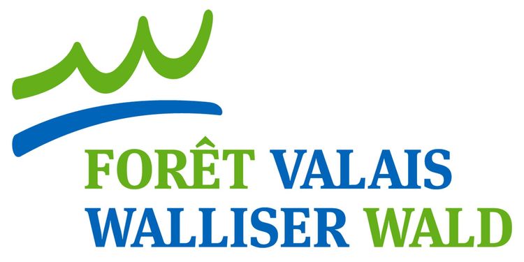 Forêt Valais Walliser Wald